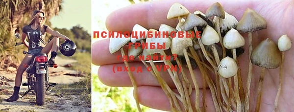 mdpv Балахна